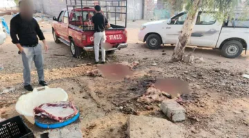 احتجاز 10 أفراد بسبب ذبح الأضاحي في أربيل