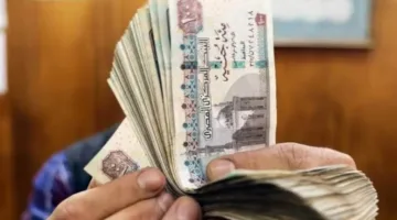 موعد دفع الرواتب للموظفين الحكوميين.. إليك المعلومات الكاملة