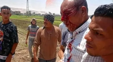 اعتداء على مسؤول حماية الأراضي في سوهاج خلال تنفيذ حملة لإزالة التعديات على الأراضي الزراعية