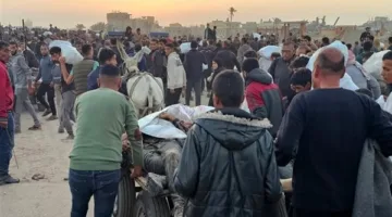 الأعمال الوطنية الفلسطينية: استهداف نقاط توزيع المساعدات يعكس المساعي لفرض السيطرة على غزة