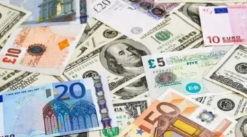 أسعار الصرف للعملات الأجنبية مقابل الجنيه اليوم الأحد 8 يونيو 2025 في البنك المركزي المصري