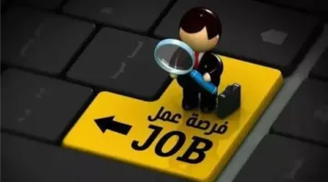 شروط ومتطلبات التقدم لوظائف جامعة المنصورة