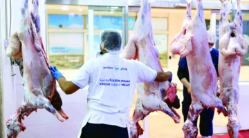 ثبات الأسعار و3600 أضحية في اليوم الثاني للعيد