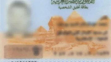اليوم الثالث من عيد الأضحى: كيفية الحصول على بطاقة الرقم القومي عبر الإنترنت