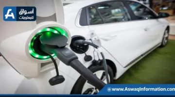توقعات أسعار شحن السيارات الكهربائية في مصر 2025.. مفاجآت للمستخدمين