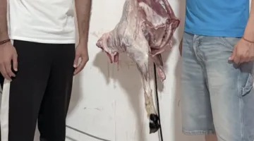 أحدث إطلالة لكهربا في عيد الأضحى.. اكتشف الآن