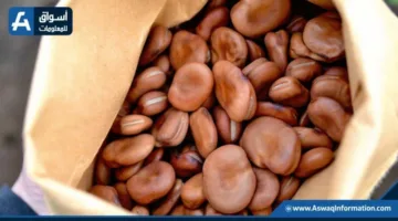 سعر الفول اليوم الأحد لدى التجار: كم يبلغ ثمن أردب الفول البلدي؟