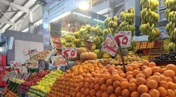 تحديث أسعار الخضروات والفواكه في الغردقة ليوم الأحد 8 يونيو 2025