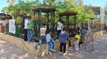 حدائق الحيوان الإقليمية وأحواض السمك في الزمالك استقبلت أكثر من 38 ألف زائر خلال يومي عيد الأضحى الأولين