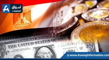 رئيس قسم الذهب: زيادة الاحتياطي النقدي تعزز استقرار الجنيه وتحد من تقلبات السوق