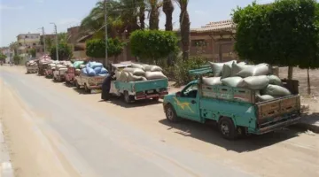 استلام 273 ألف طن: مواصلة عمليات توريد القمح في بني سويف خلال عطلة العيد