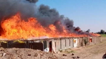 إطفاء حريق دمر مزرعة دواجن في البدرشين
