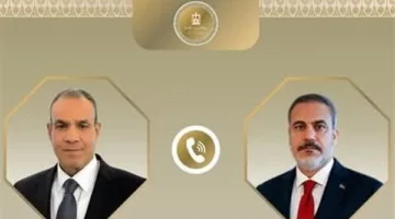 وزيرا خارجية مصر وتركيا يتباحثان حول الوضع في غزة وليبيا