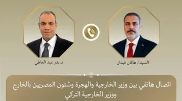 وزير الخارجية يثني على تقدم العلاقات بين مصر وتركيا في مجالات متعددة