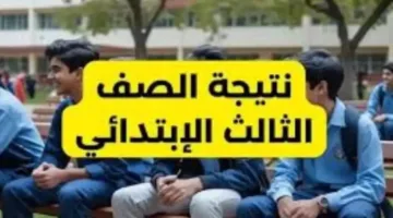 نتائج المرحلة الابتدائية للصف الثالث 2025 الفصل الدراسي الثاني تظهر حاليًا في بعض المحافظات بالاسم أو برقم الجلوس.