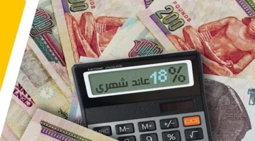 مزايا شهادات بنك مصر والبنك الأهلي بقيمة 100 ألف جنيه شهريًا في عام 2025