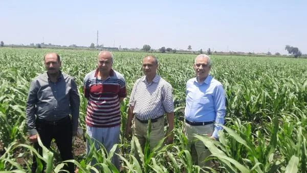 الزراعة تواصل تنفيذ برامجها البحثية في جميع أنحاء البلاد خلال عطلة العيد