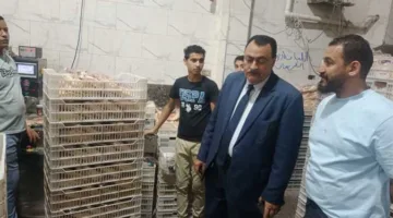مخالفات تموينية في دمياط: ضبط 110 حالات تشمل أغذية فاسدة وتلاعب في أوزان أسطوانات الغاز