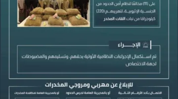 اعتقال 11 شخصًا بتهمة تهريب 220 كجم من القات في الربوعة
