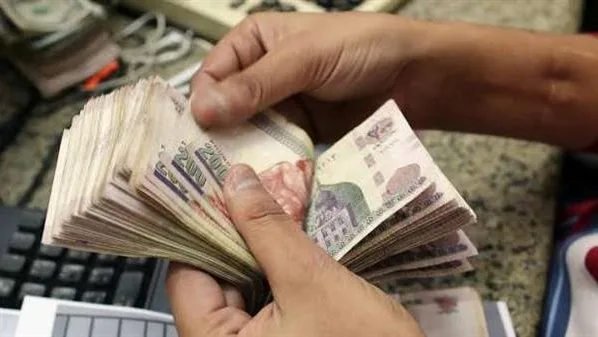 القاهرة للدراسات الاقتصادية: الميزانية تأخذ في الاعتبار الأبعاد الاجتماعية من خلال زيادة الأجور والمرتبات. القاهرة للدراسات الاقتصادية: الميزانية تأخذ في الاعتبار الأبعاد الاجتماعية من خلال زيادة الأجور والمرتبات.