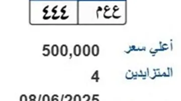 مزاد على لوحة سيارة فريدة “ع ع م – 444” بقيمة 500 ألف جنيه