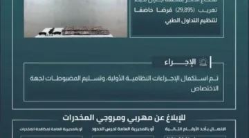 إحباط محاولة تهريب (29895) حبة مخدر في الدائر