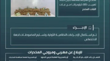 إحباط محاولة تهريب 80 كيلوغرامًا من القات المخدر في العارضة