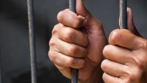 السجن لمدة عام وغرامة 20 ألف جنيه كعقوبة لنشر معلومات زائفة وفقًا للقانون