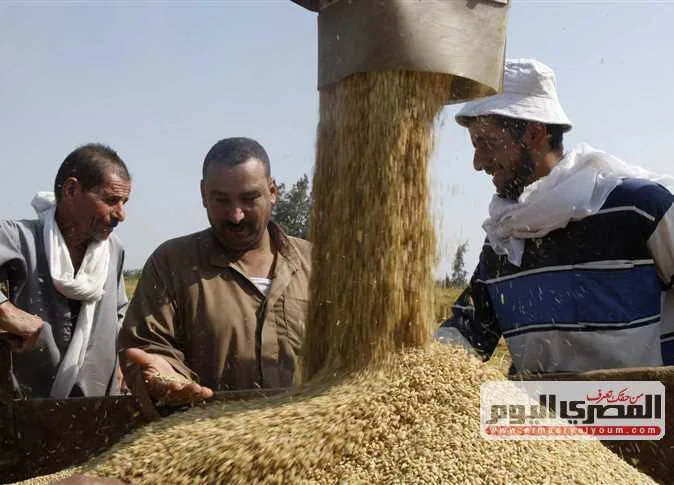 ما هي أسعار الأرز الشعير والأبيض اليوم الإثنين 9 يونيو 2025 في أسواق الشرقية؟