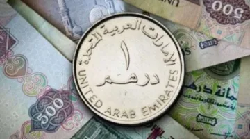 سعر الدرهم الإماراتي في مصر اليوم، الإثنين 9 يونيو 2025