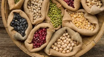 أسعار الحبوب في البحر الأحمر اليوم، الإثنين 9 يونيو 2025