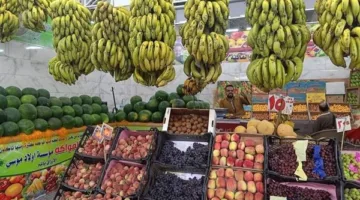 أسعار الفواكه والخضروات في أسواق الغردقة اليوم الإثنين 9 يونيو 2025