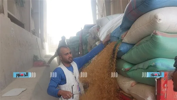 محافظ أسيوط: استمرار توريد القمح في اليوم الرابع من عيد الأضحى محافظ أسيوط: استمرار توريد القمح في اليوم الرابع من عيد الأضحى