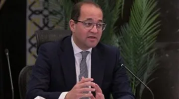 وزير المالية: نهدف إلى تقليل الضغوط على المستثمرين وتركيز الجهود على توسيع قاعدة الضرائب.