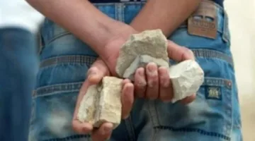 رجم بالحجارة واستخدام مبيد حشري.. عاطل يهدد امرأة أمام منزلها في الجيزة