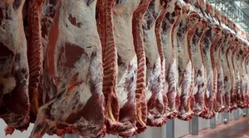 أسعار لحوم البقر اليوم الاثنين 9 يونيو 2025