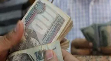 إلى جانب الزيادة السنوية.. مزايا إضافية لهؤلاء الموظفين | التفاصيل
