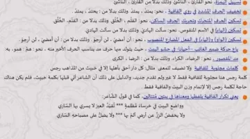 كل القواعد البلاغية في 10 صفحات لشهادة الثانوية العامة 2025