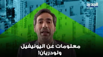 نور الدين: التطبيع قادم لا محالة.. و”لا منطقة لبنانية تحت أشعة الشمس”