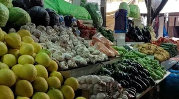 أسعار الخضروات في مدينة الإسكندرية اليوم الإثنين