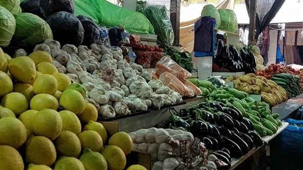 أسعار الخضروات في مدينة الإسكندرية اليوم الإثنين