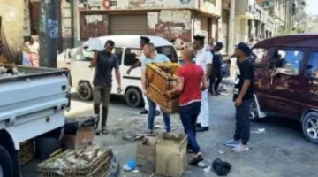 محافظ الإسكندرية يأمر بتعزيز حملات إزالة الإشغالات والتعديات لتحقيق النظام والانضباط