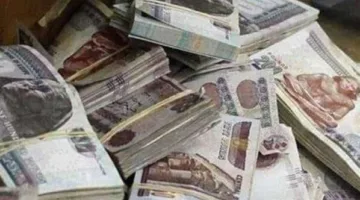 ضربة موجعة لتجار الدولار في عيد الأضحى.. وزارة الداخلية تضبط 4 ملايين جنيه