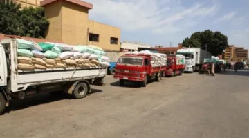 محافظ المنوفية: تم استلام 105 آلاف طن من القمح منذ بدء الموسم وحتى الآن