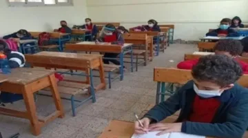 نتائج السنة الثالثة ابتدائي للفصل الدراسي الثاني 2025: استعلم عن درجاتك باستخدام رقم الجلوس حالاً!