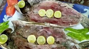 أسعار الفسيخ والرنجة في محافظة الغربية اليوم، الإثنين 9 يونيو 2025