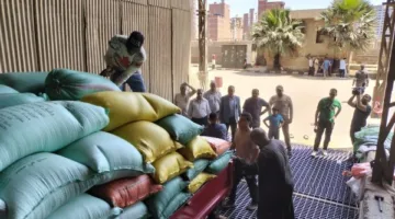 توفير 271 ألف طن من القمح في مراكز التوريد والتخزين بمحافظة الدقهلية