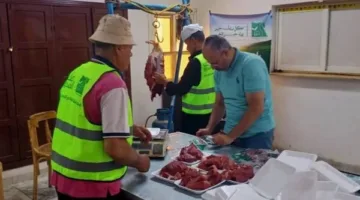 محافظ الوادي الجديد: توزيع 50 رأساً من المواشي كأضاحي على الأسر المحتاجة