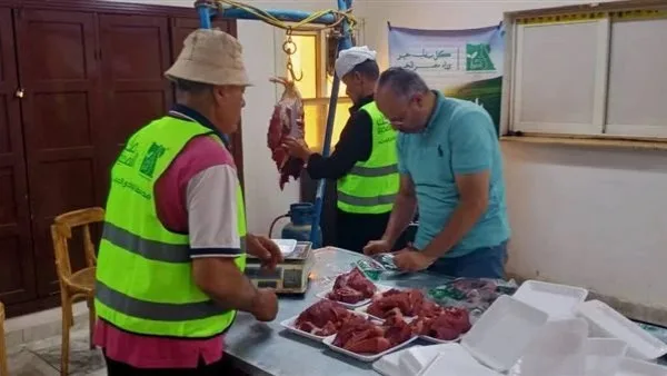 محافظ الوادي الجديد: توزيع 50 رأساً من المواشي كأضاحي على الأسر المحتاجة محافظ الوادي الجديد: توزيع 50 رأساً من المواشي كأضاحي على الأسر المحتاجة