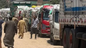 محافظ المنوفية يراقب عملية توريد القمح ويعلن استلام 105 ألف طن